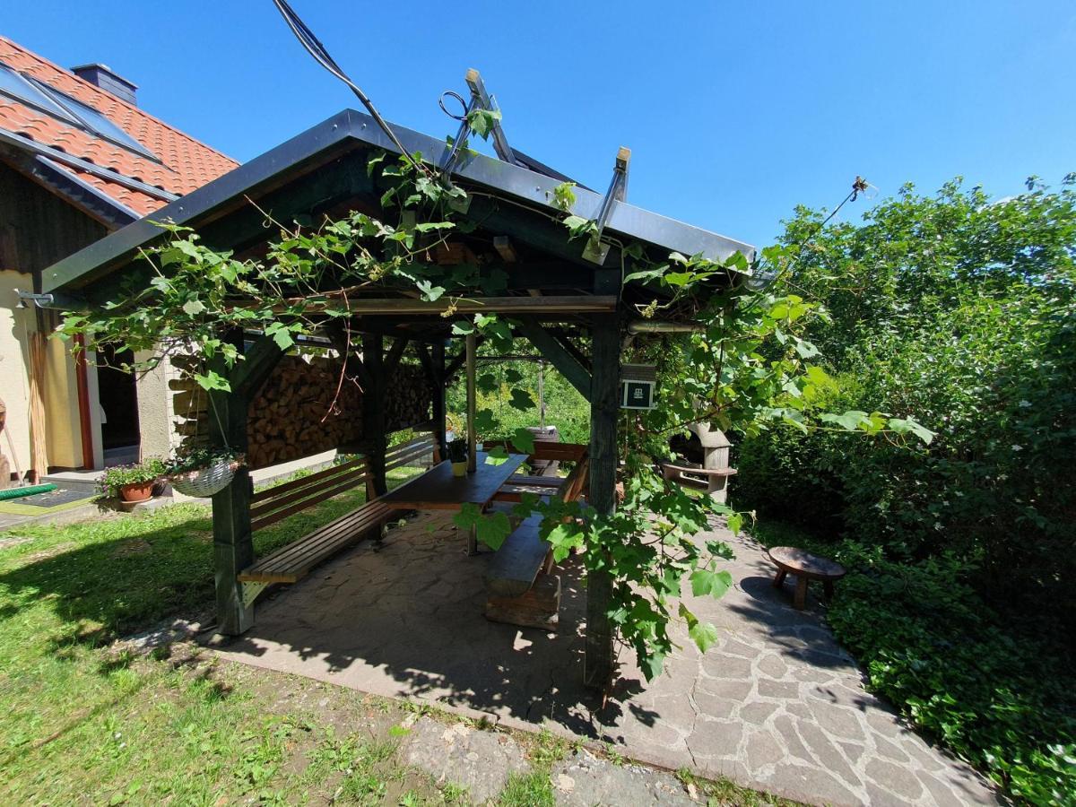 Das Gruene Haus Am Hexenstieg Rubeland Dış mekan fotoğraf