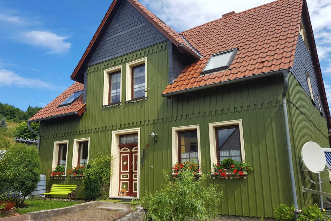 Das Gruene Haus Am Hexenstieg Rubeland Dış mekan fotoğraf