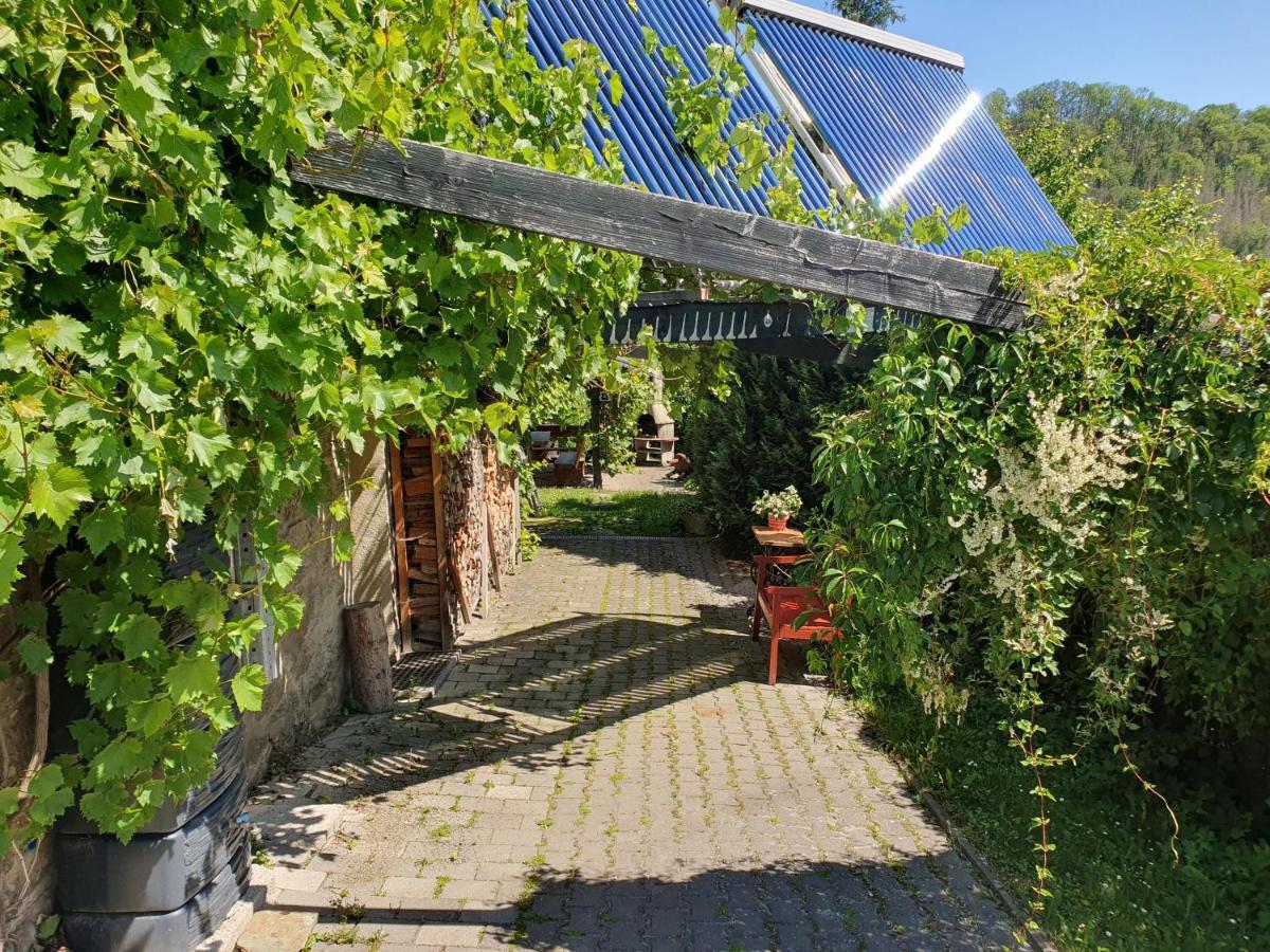 Das Gruene Haus Am Hexenstieg Rubeland Dış mekan fotoğraf