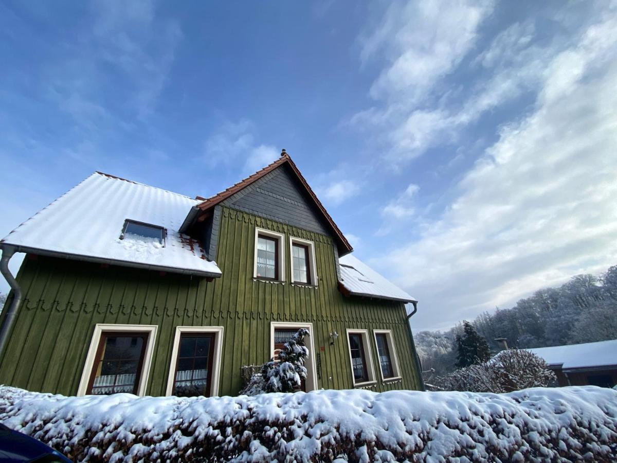 Das Gruene Haus Am Hexenstieg Rubeland Dış mekan fotoğraf