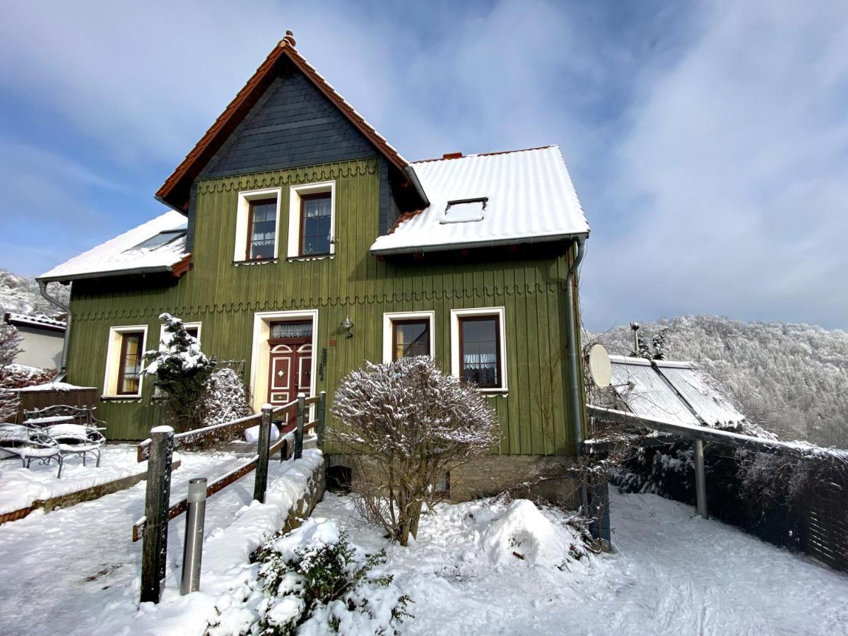 Das Gruene Haus Am Hexenstieg Rubeland Dış mekan fotoğraf