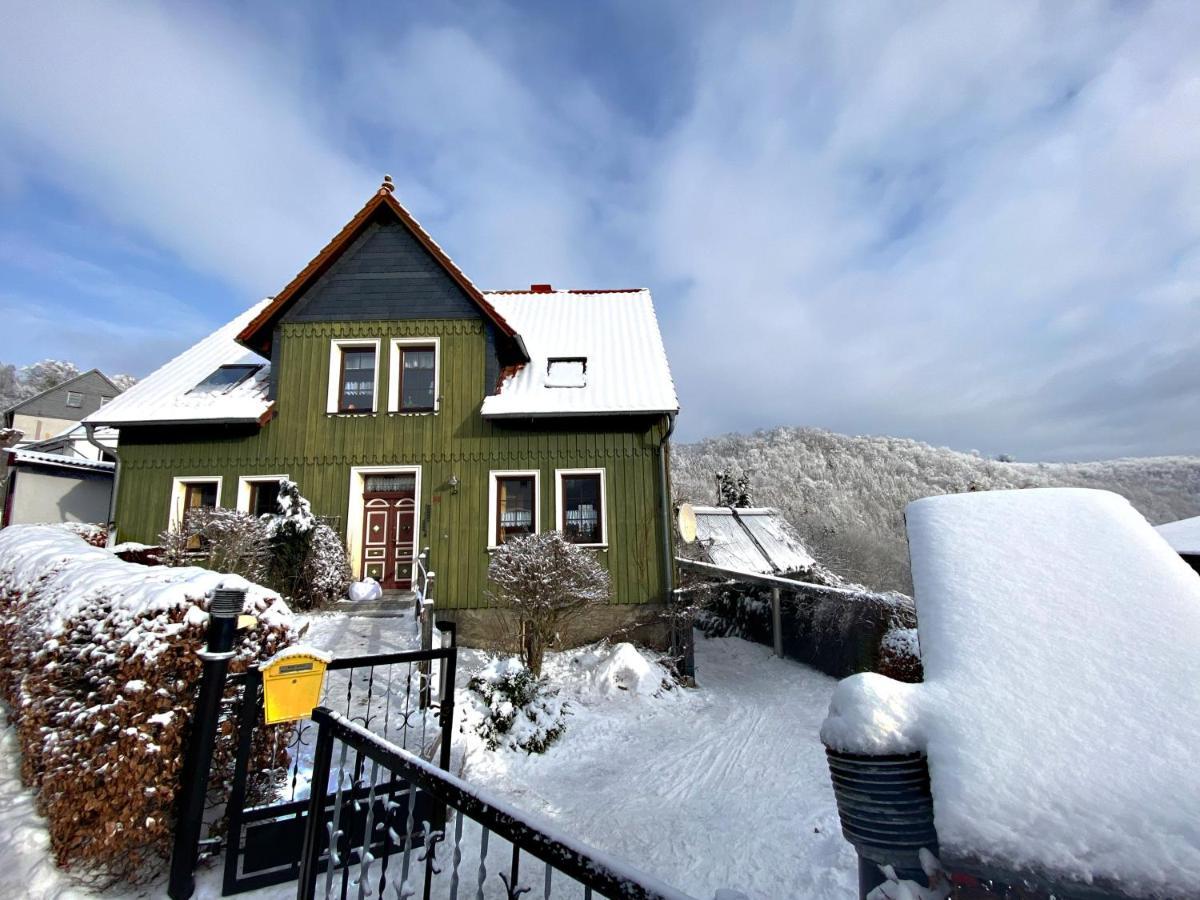 Das Gruene Haus Am Hexenstieg Rubeland Dış mekan fotoğraf