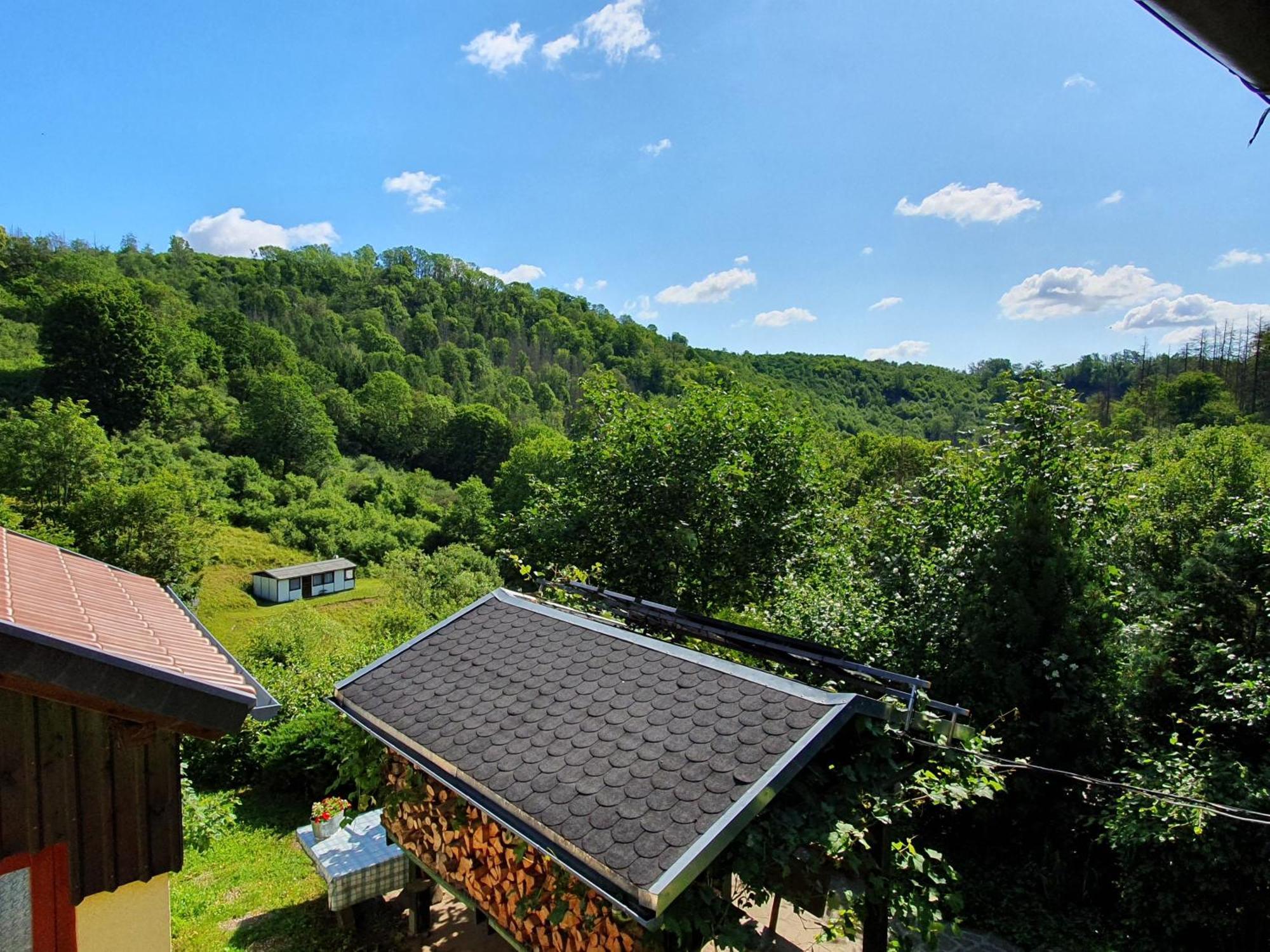 Das Gruene Haus Am Hexenstieg Rubeland Dış mekan fotoğraf